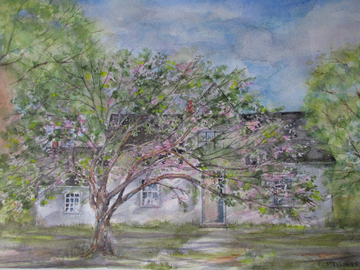 Painting of the lovely old home in Cavendish in which Maud grew up. It is spring, and the apple tree is in full bloom.