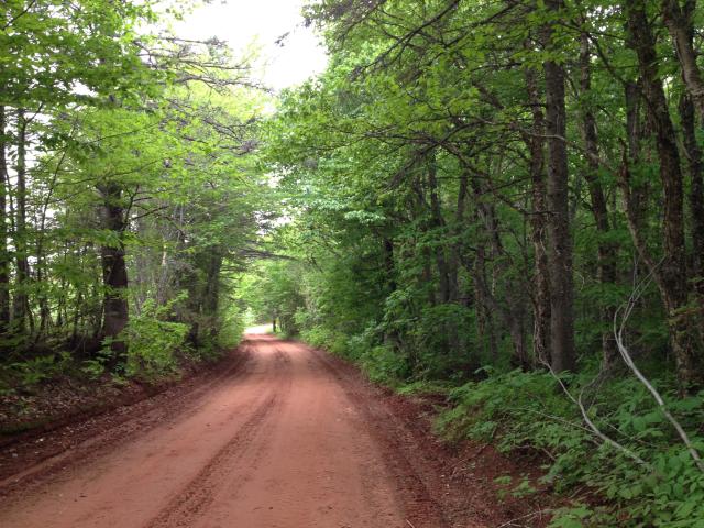 A red dirt road winding through trees and greenery.