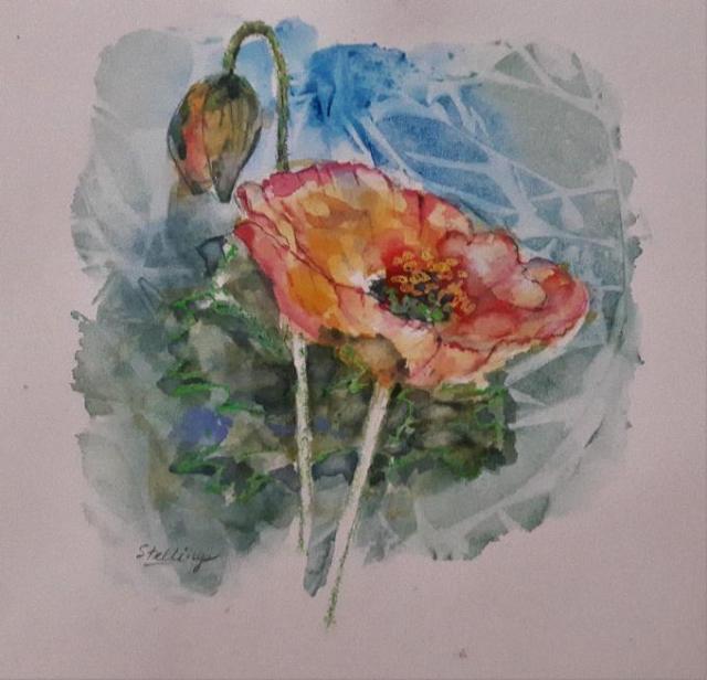 Small watercolour illustration of a bright red poppy in bloom.