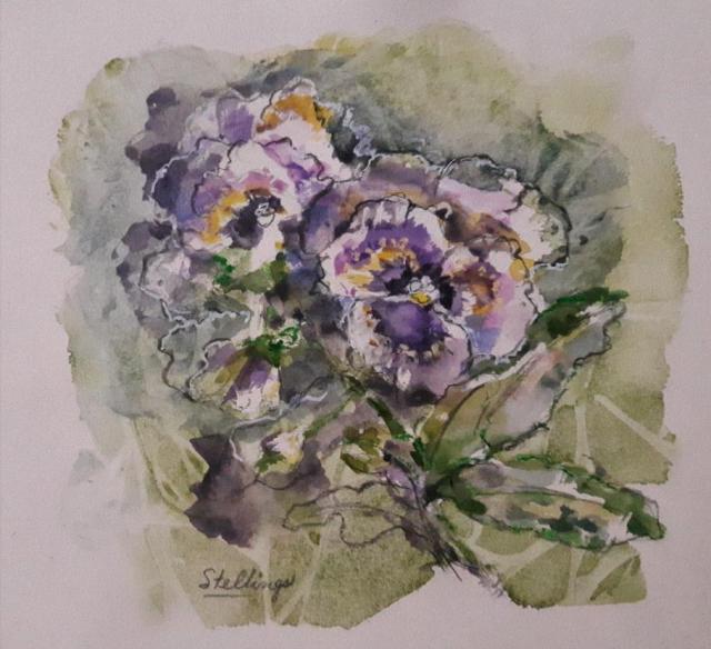 Small watercolour illustration of purple and yellow pansies.