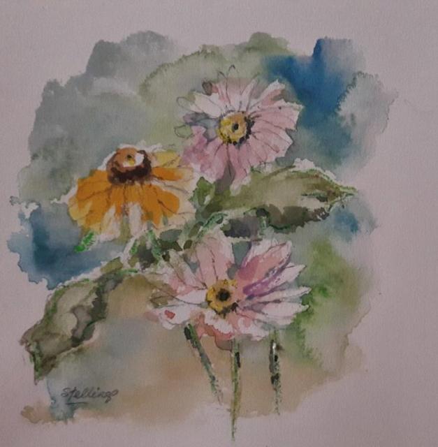 Small watercolour illustration of a group of multicoloured daisies.