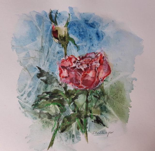 Small watercolour illustration of a red rose and rosebud.