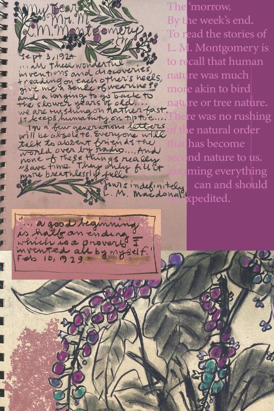 A collage with a letter from LMM, a short quotation about beginnings, a drawing of purple and green pokeberries, and a purple block with typed text about LMM and nature.