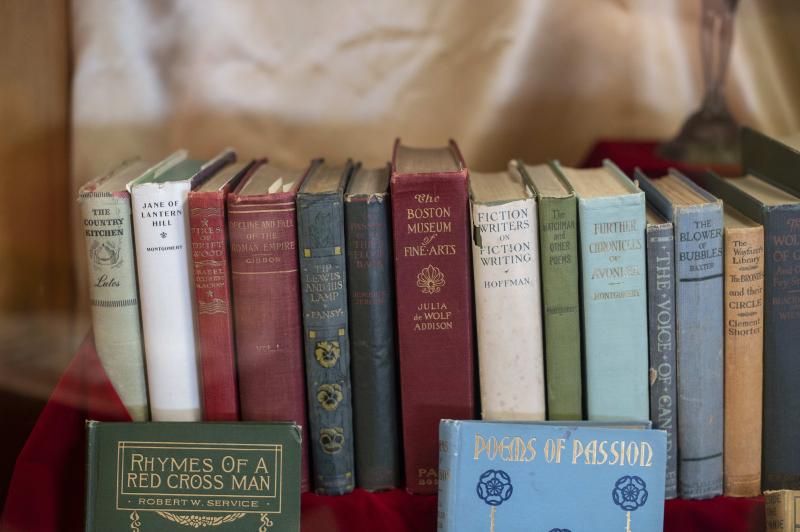 A row of aged books in faded cloth, some with gilded lettering on the spines.