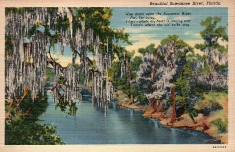 Postcard of Suwanee River. Trees line either side of a still body of water. 