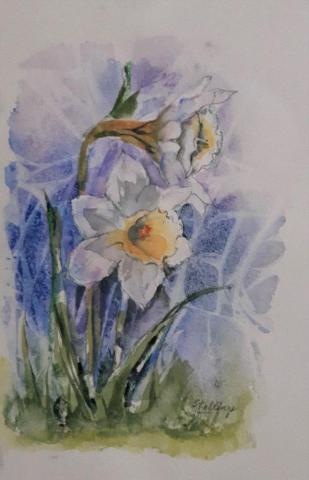 Small watercolour illustration of white narcissus with yellow centre.