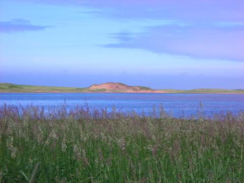 A photograph of green grasses, deep blue water, and red sand dunes, under a sky in shades of rose, blue, and pink.