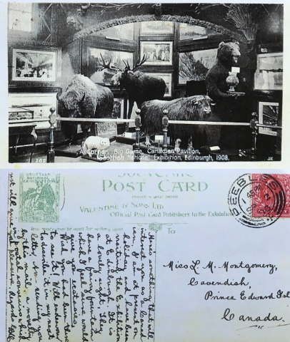 Exhibition. Postcard from George B. MacMillan to L.M. Montgomery