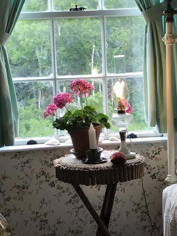 Photo of an oil lamp on a stand at a mullioned window framed in pale green curtains with a pink geranium beside it.