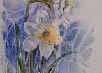 Small watercolour illustration of white narcissus with yellow centre.