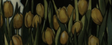 Painted yellow tulips against a black background